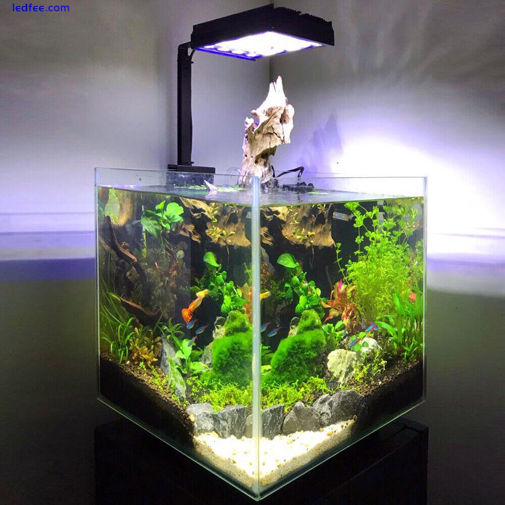 DSunY Led Aquarium Light Full Spectrum for Freshwater Plant Fish Tank Shannon16 0 