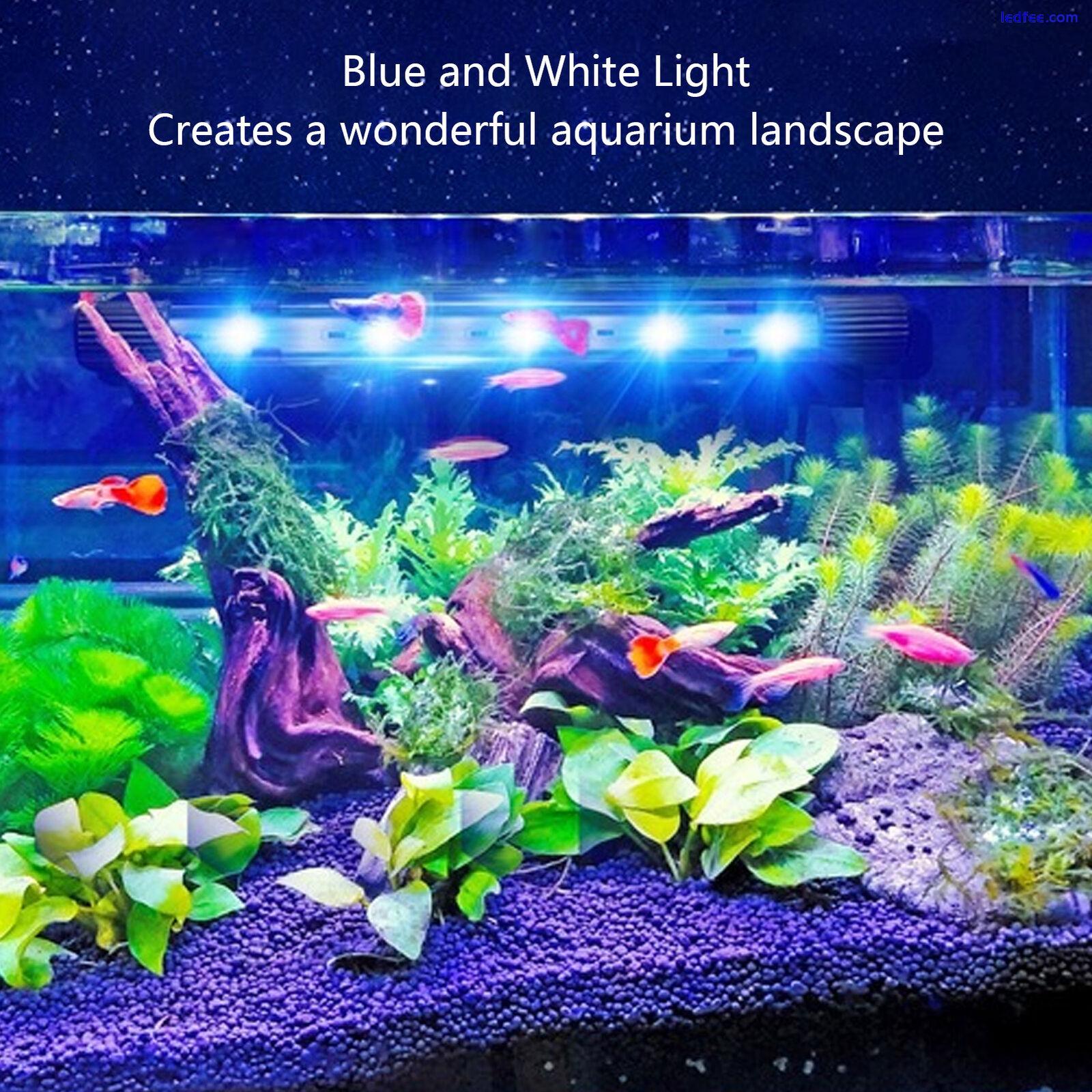 LED Aquarium Light High Brightness Submersible Blue White Fish Tank Lamp For GF0 5 