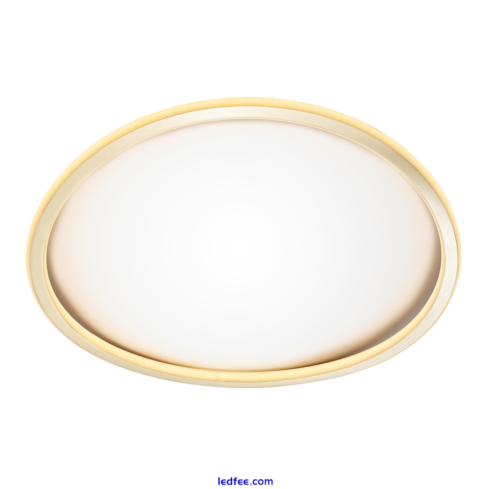 Modern Designer Satin Gold Plated LED Ceiling Light with Inner Opal Diffuser ... 1 