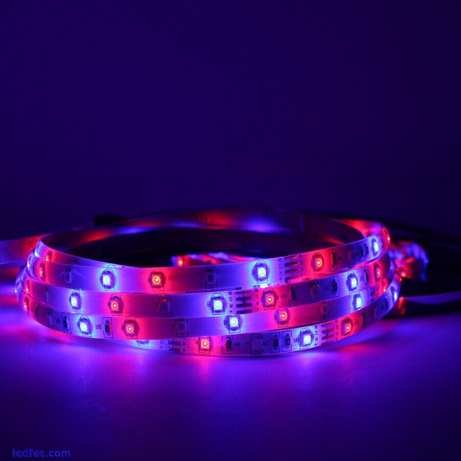 5m RGB LED Strip Light SMD 5050 5630 3528 LED String Ribbon Decoration Lamp 12V 1 