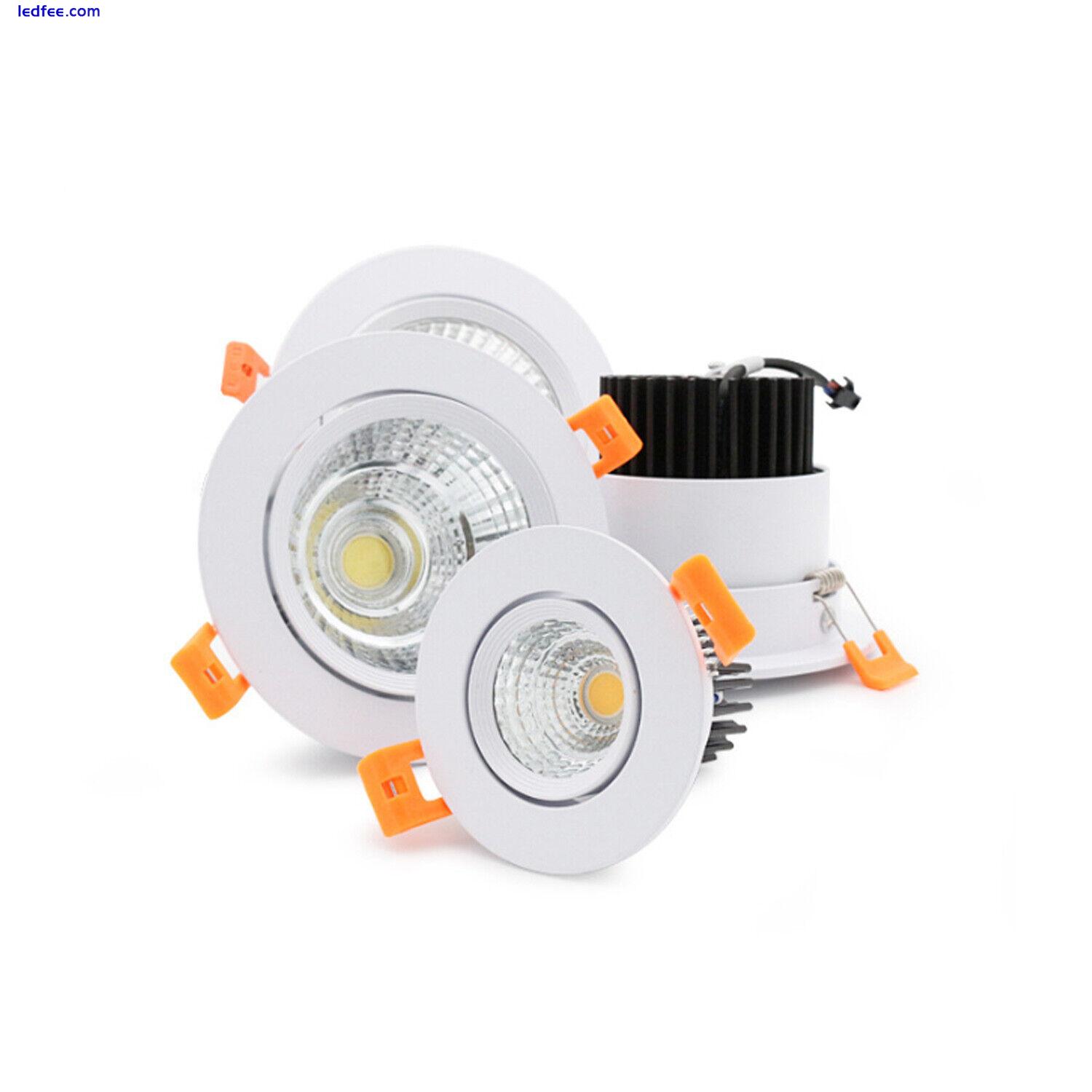 LED COB Ceiling Spot Down Light Energy Saving Bulb with LED Driver Transformer 2 