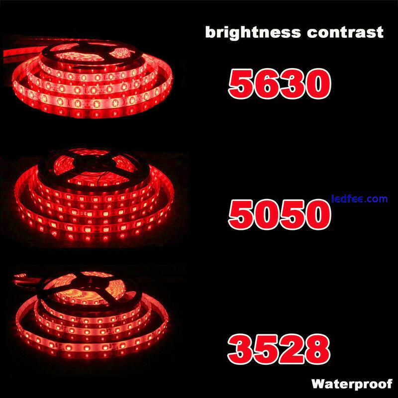 Super Bright 5M 2835 5050 5630 SMD 300 LED Flexible Strip light DC 12V white red 3 